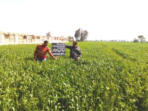 IMG_20170226_103742sss