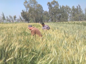 IMG_20170326_102029wwww